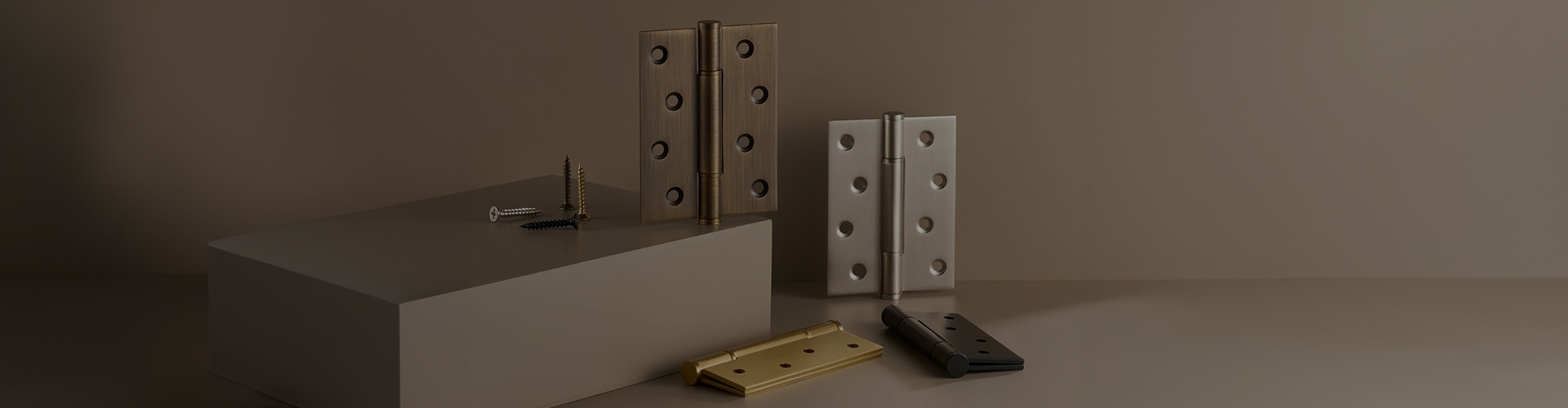ss hinges